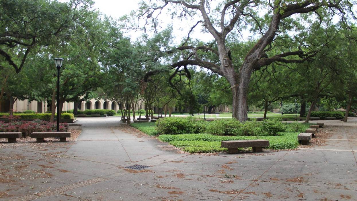 LSU