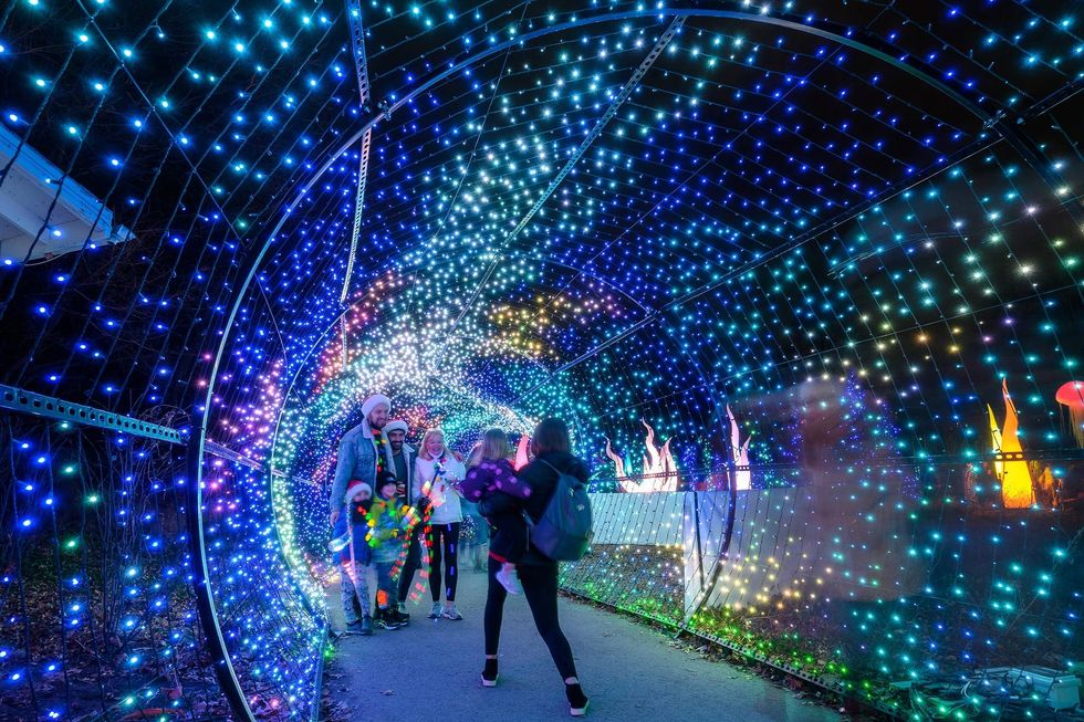 Luminature at the Philadelphia Zoo.