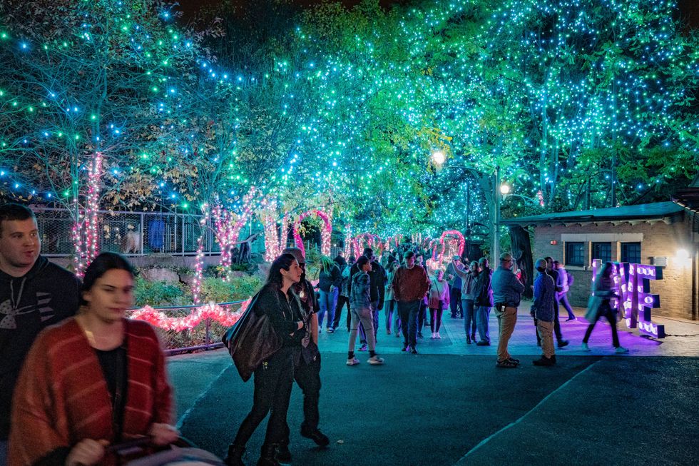 Luminature at the Philadelphia Zoo