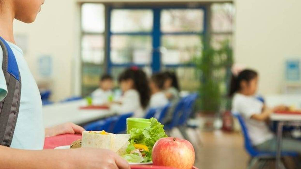 Lunch, Girl, Student, School, Cafeteria