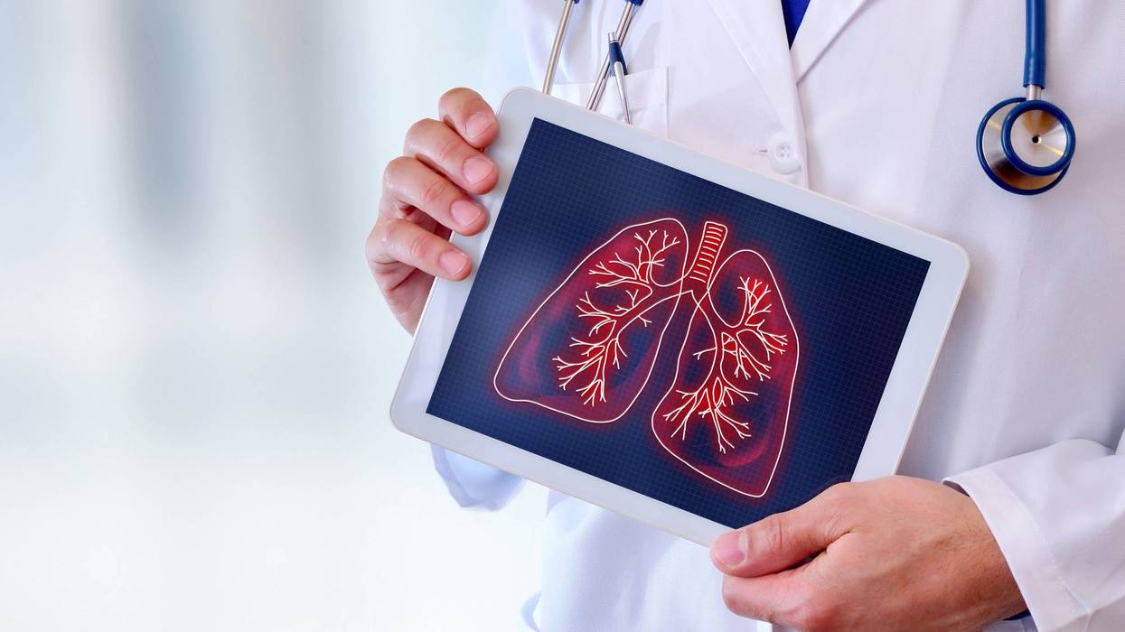 lungs