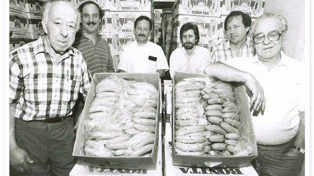 M. Levin & Company Inc.