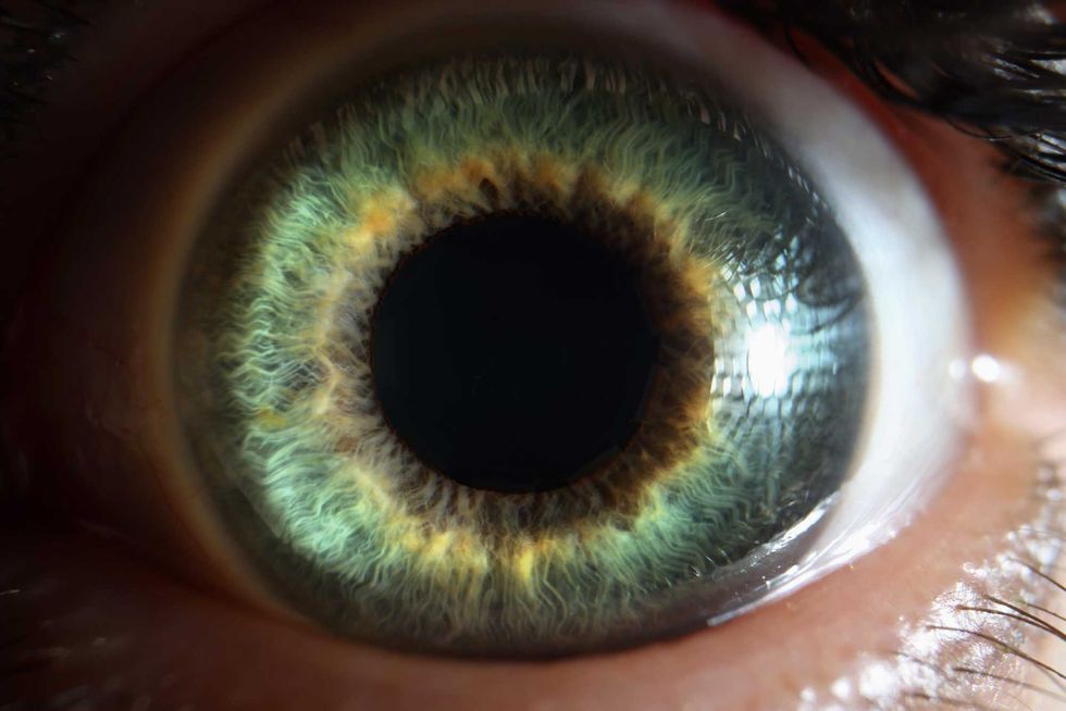 Macro photography of green eye of woman closeup.