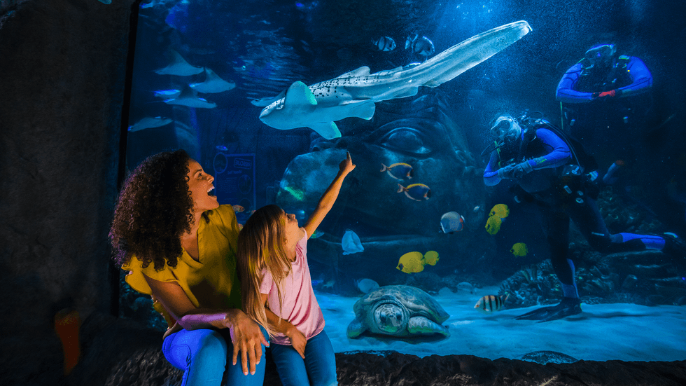 Madre e hija en un acuario