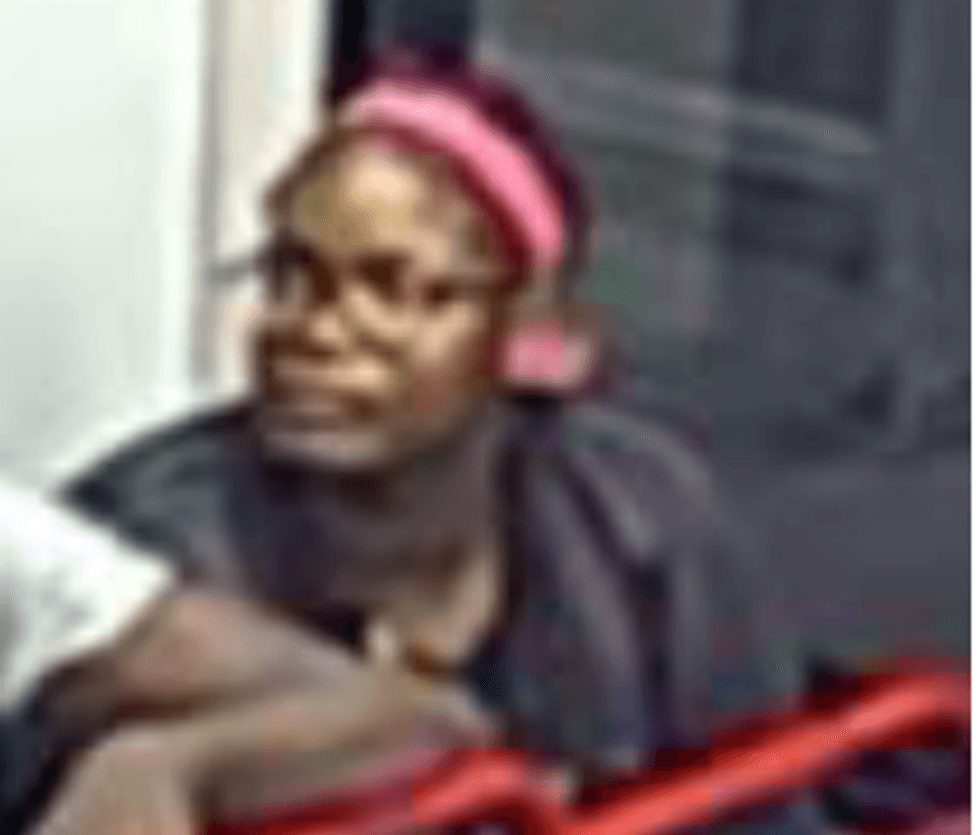 Major Case Squad: Person of Interest #3