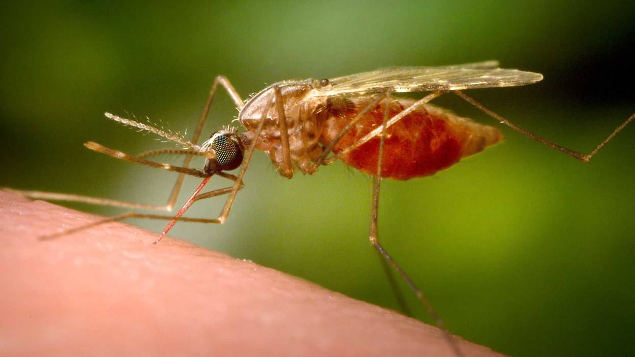 Malaria Prevention