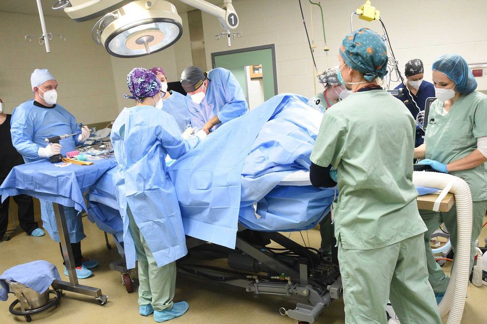Malena, a 10½ -year-old Amur tiger at Brookfield Zoo, underwent successful total hip replacement surgery. This is believed to be the first time such a procedure was attempted on a tiger in North America. During the surgery, which took place at the zoo’s state-of-the-art Animal Hospital, the big cat received a custom-made implant that was designed and manufactured to fit her perfectly.