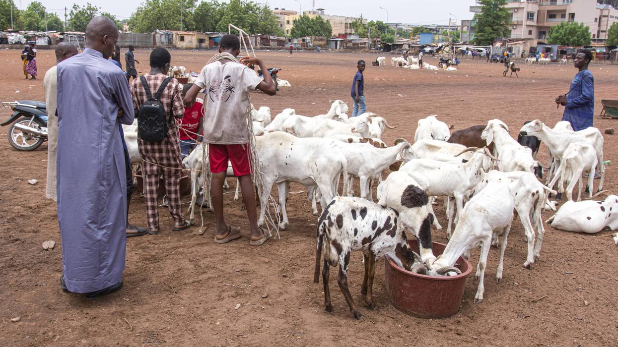 Mali Eid