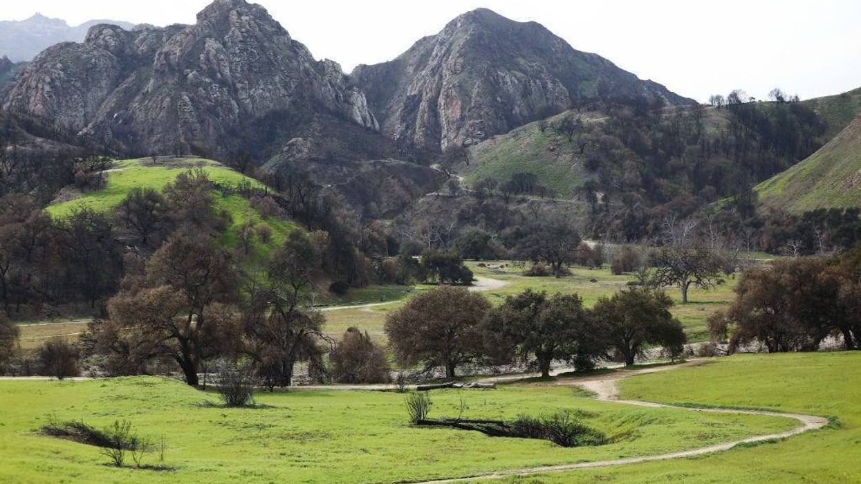 Malibu Creek State Park.