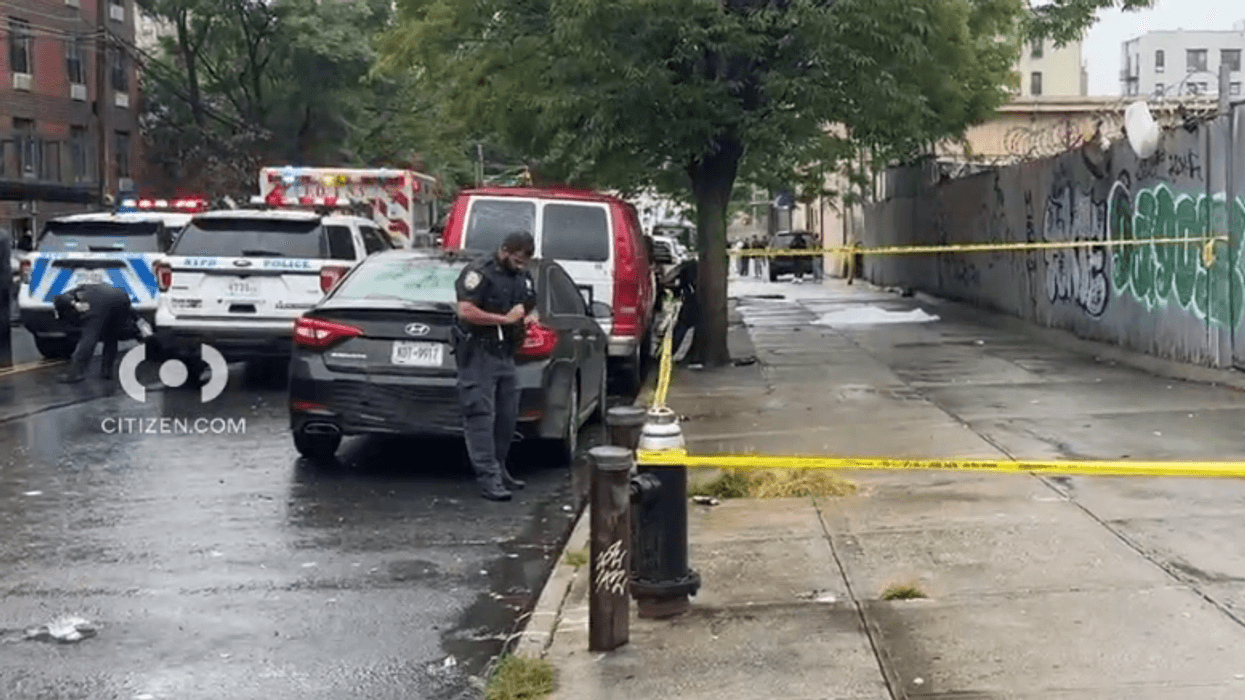 Man, 29, fatally shot in head near Bronx Zoo