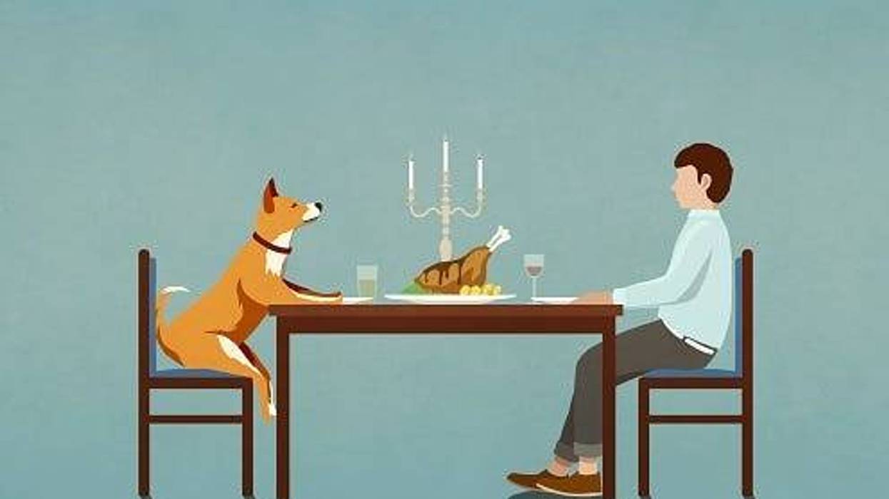 Man, Dog, Bestfriends, Eating, Hilarious, Video, Viral, Smile