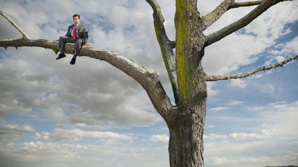 Man_In_Tree