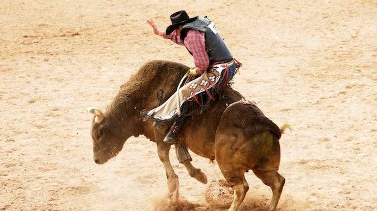 Man riding a bull