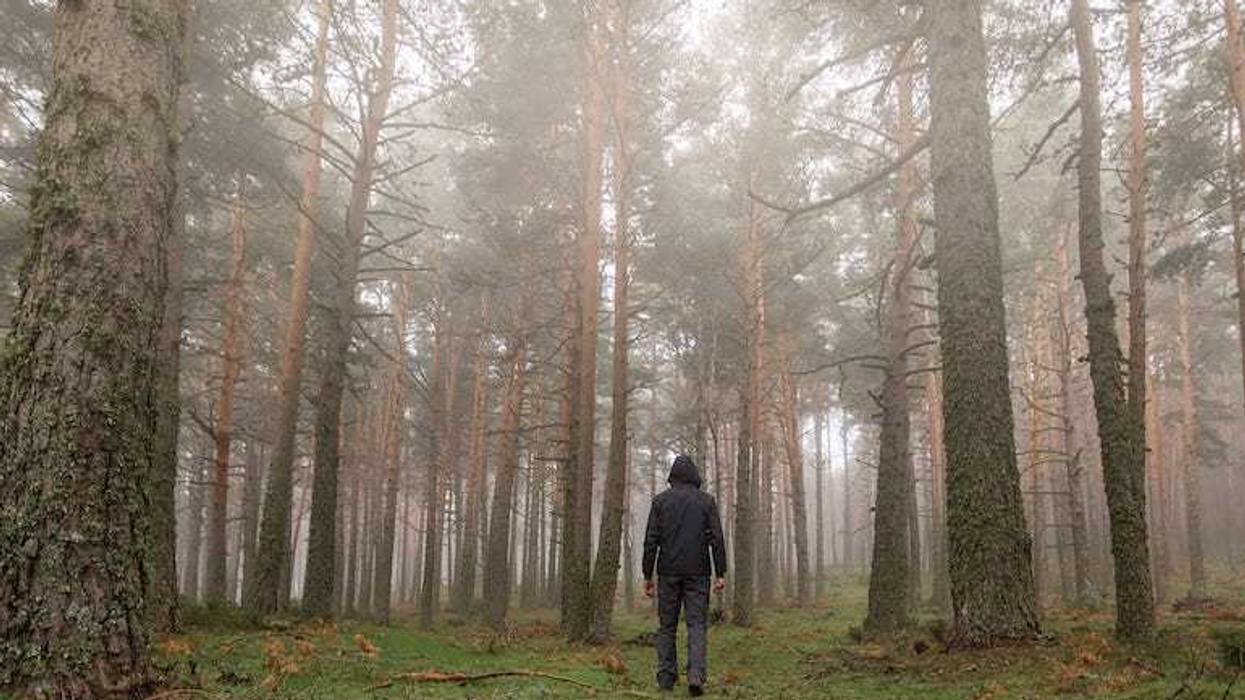 Man walking in the woods