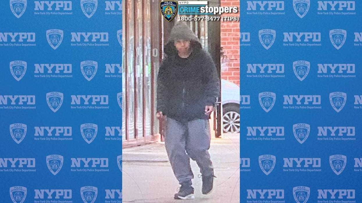 Man wanted for attacking woman, 58, in attempted robbery on Brooklyn street