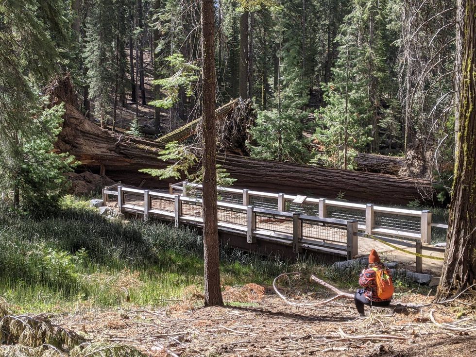 Many hikers ignored caution tape and warnings to stay on trails.