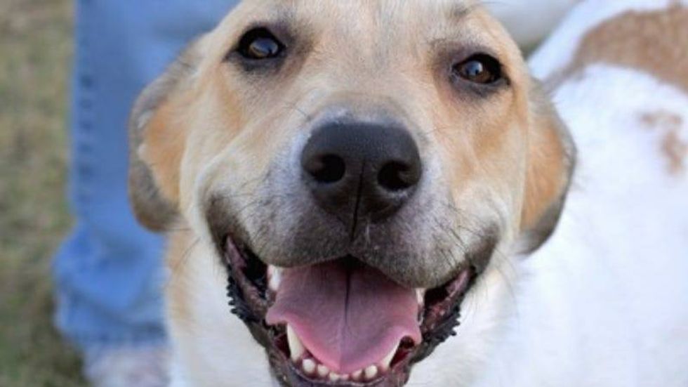 Mara @ Austin Humane Society 8/23/23