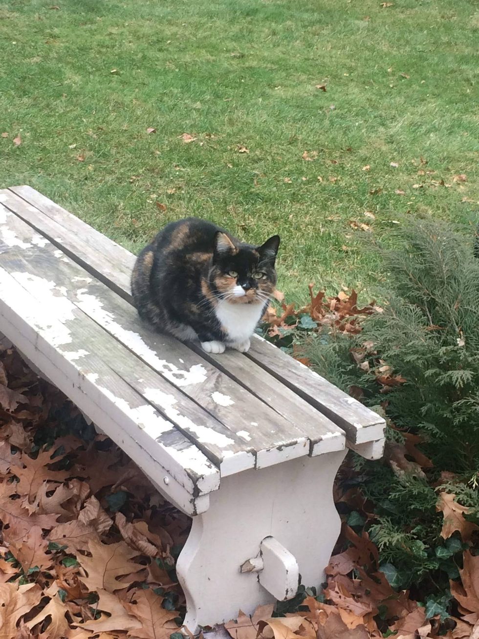 Marbles