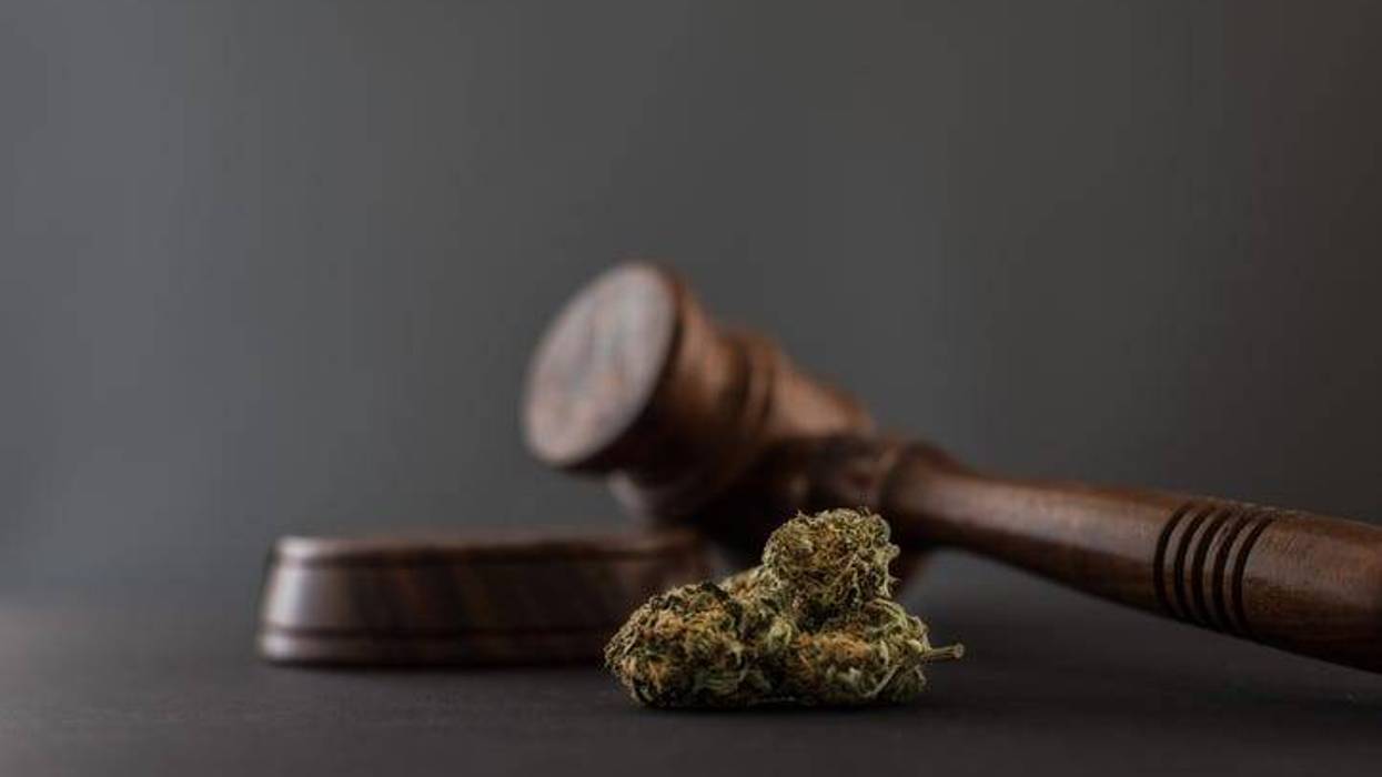 MARIJUANA DECRIMINALIZATION