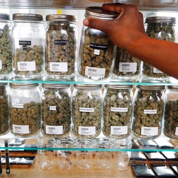 marijuana dispensary