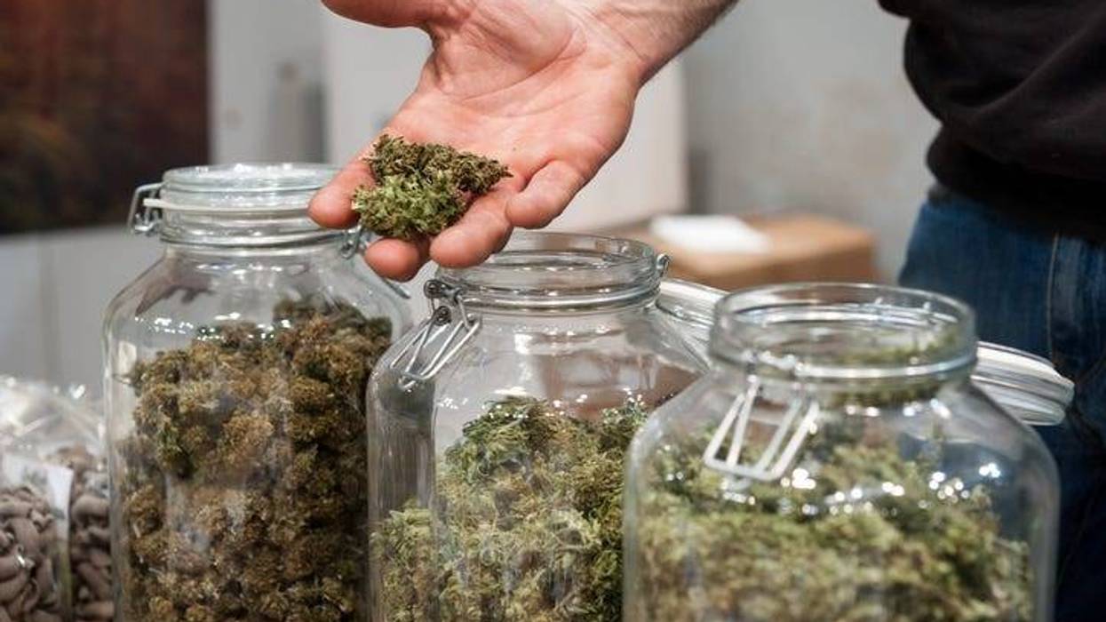 marijuana dispensary