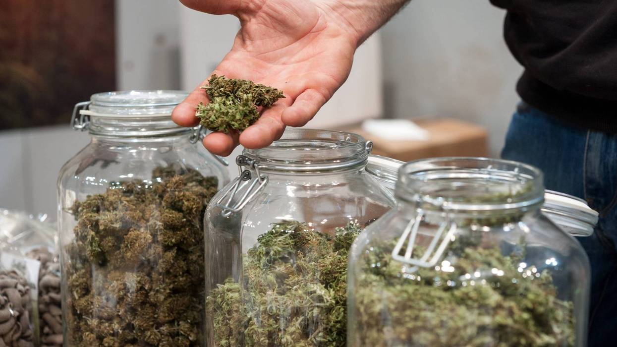 Marijuana in jars