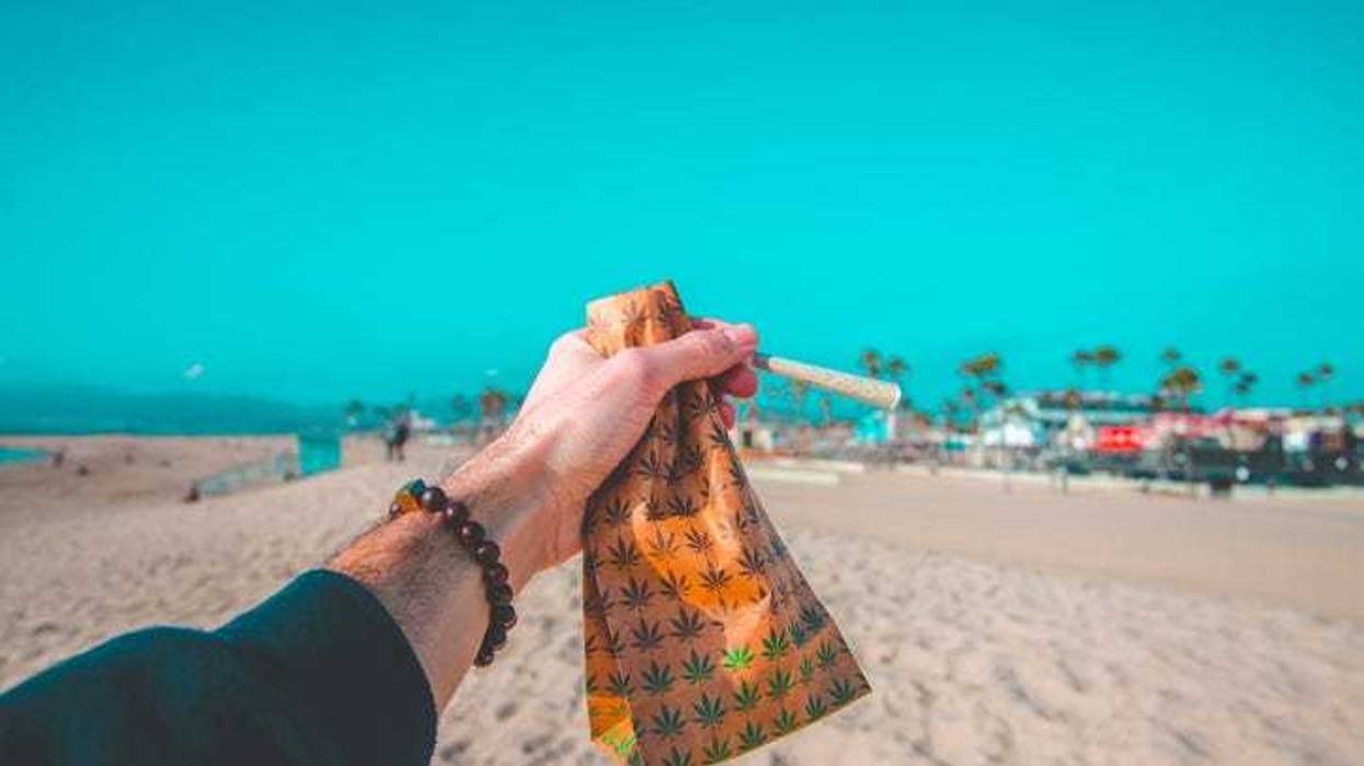 Marijuana on Florida beach
