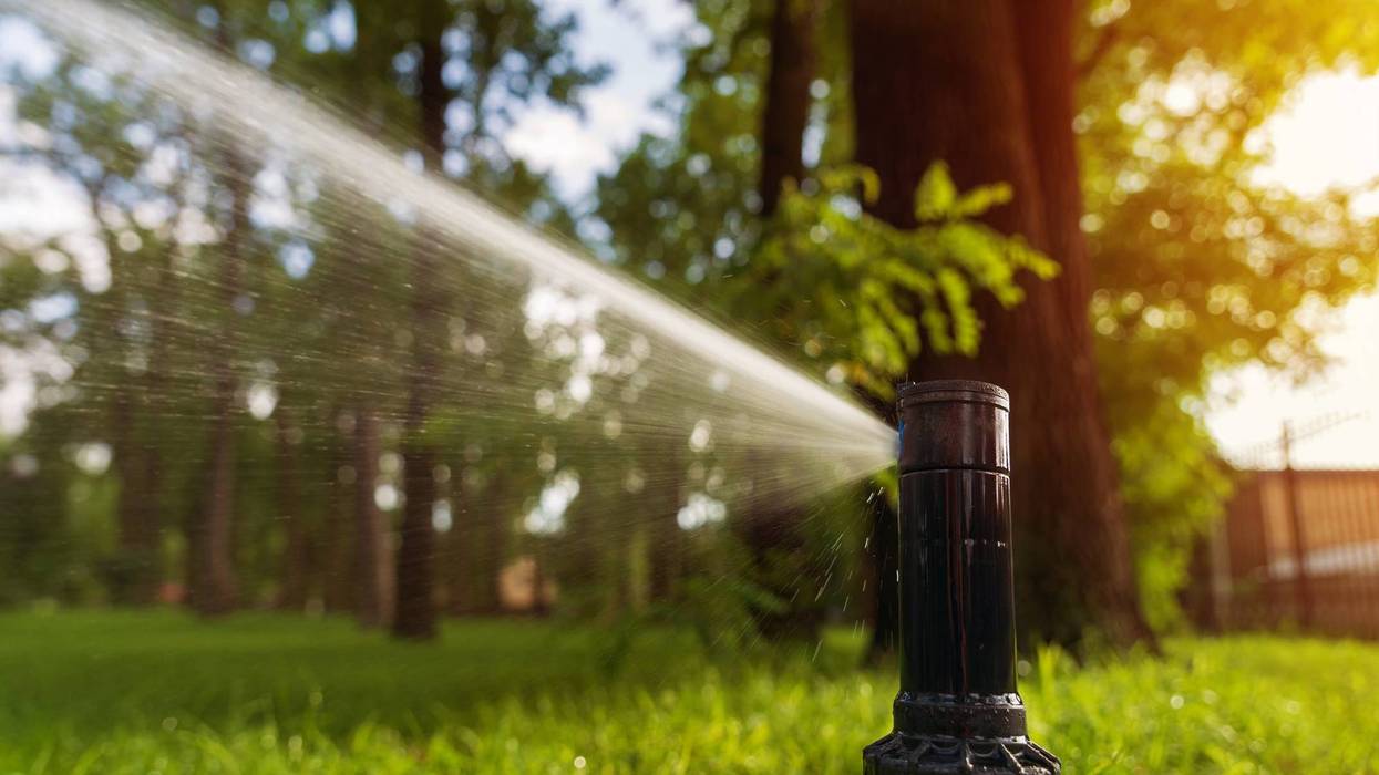 Marin residents are prohibited from doing any yard irrigation until May 2022.
