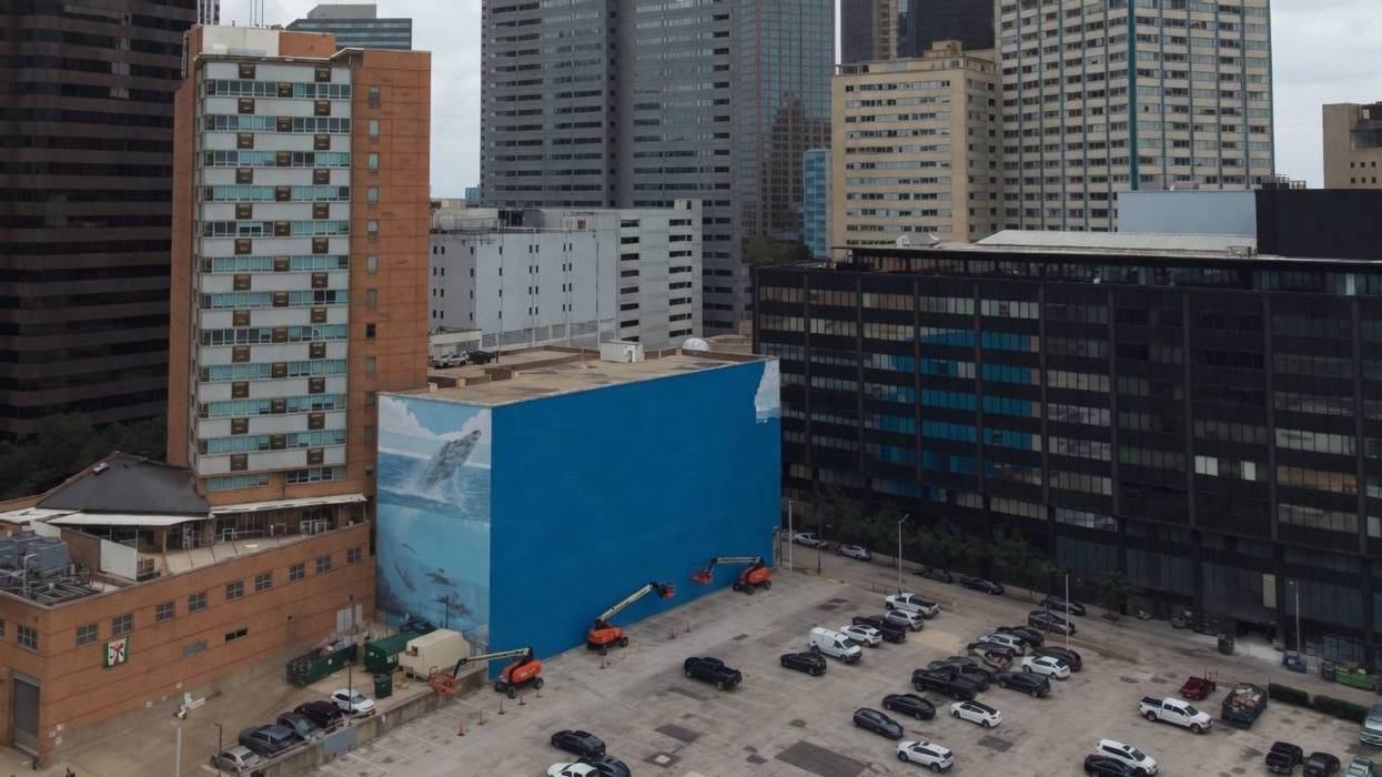 Marine artist Wyland has sent a cease-and-desist letter after crews painted over his iconic downtown Dallas whale mural to make way for a FIFA World Cup 2026 promotional project.