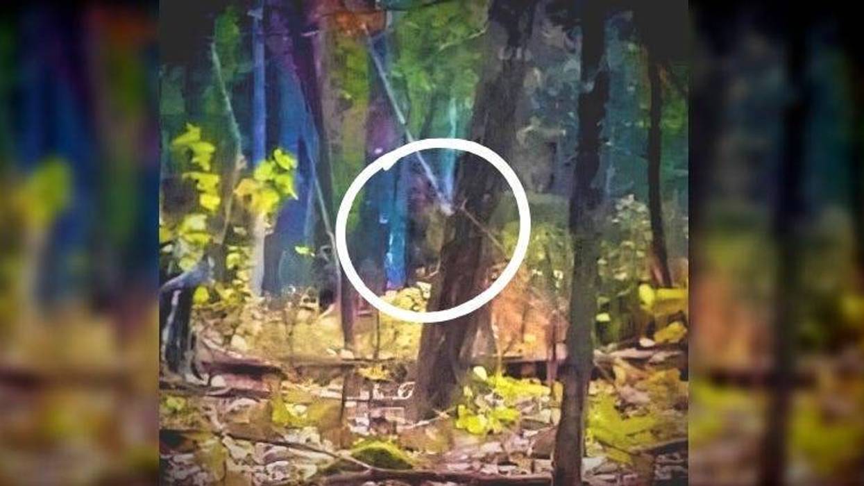 Marine Corps veteran captured an image of what some believe to be the mysterious Bigfoot