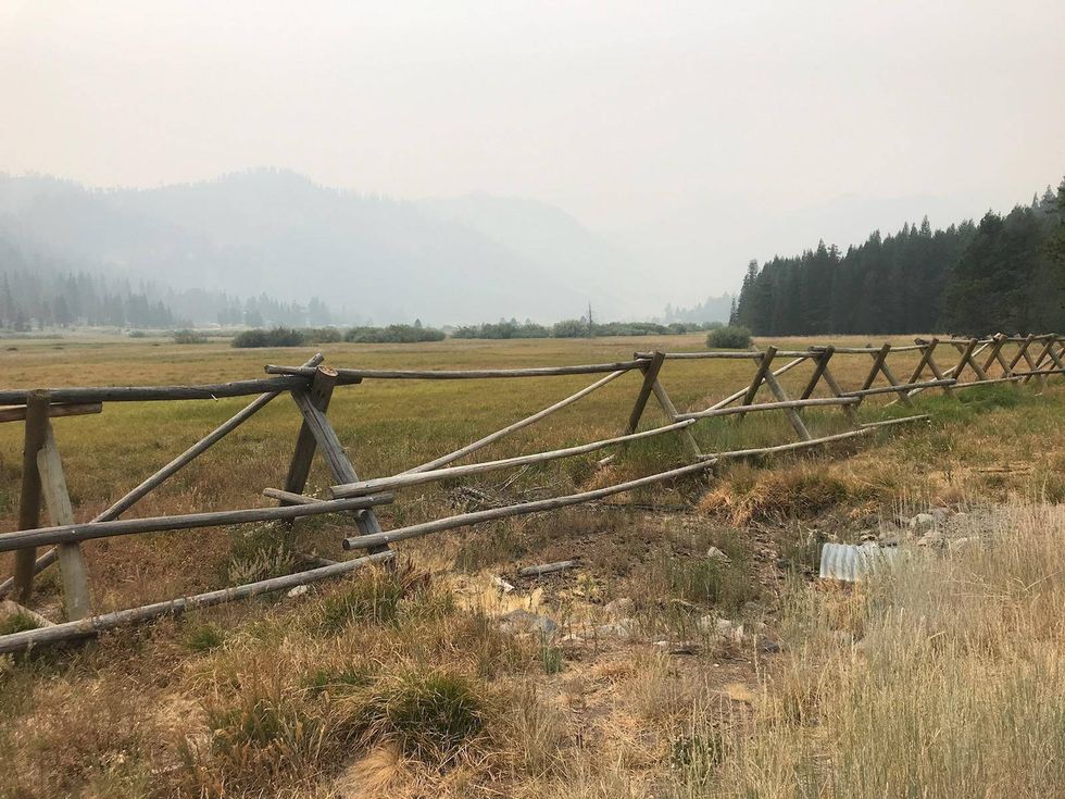 Mark Seelig/KCBS Radio