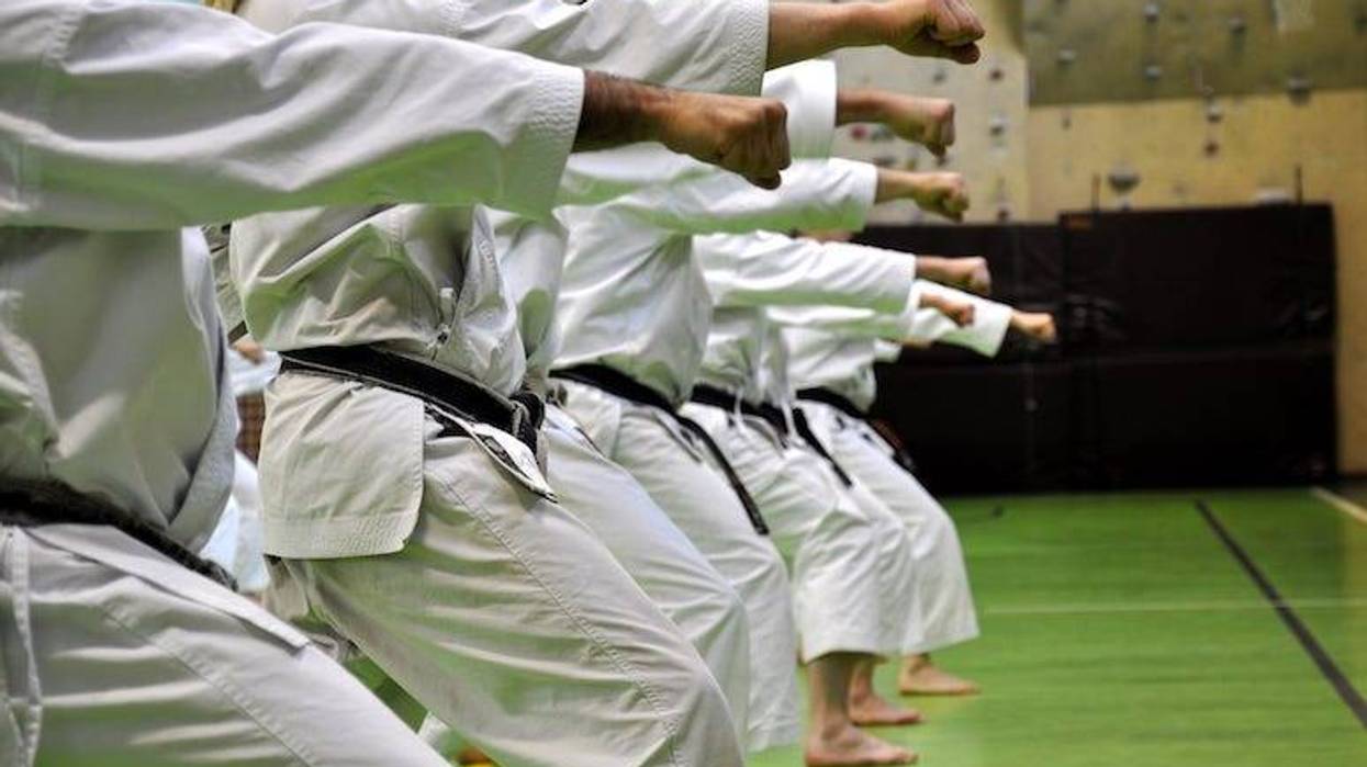 Martial Arts, Karate, Students, School, Punch, Oi Zuki