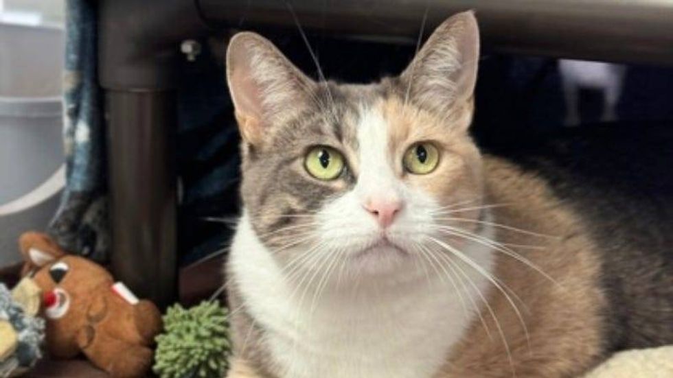 Mary Alice @ Austin Humane Society 8/28/24