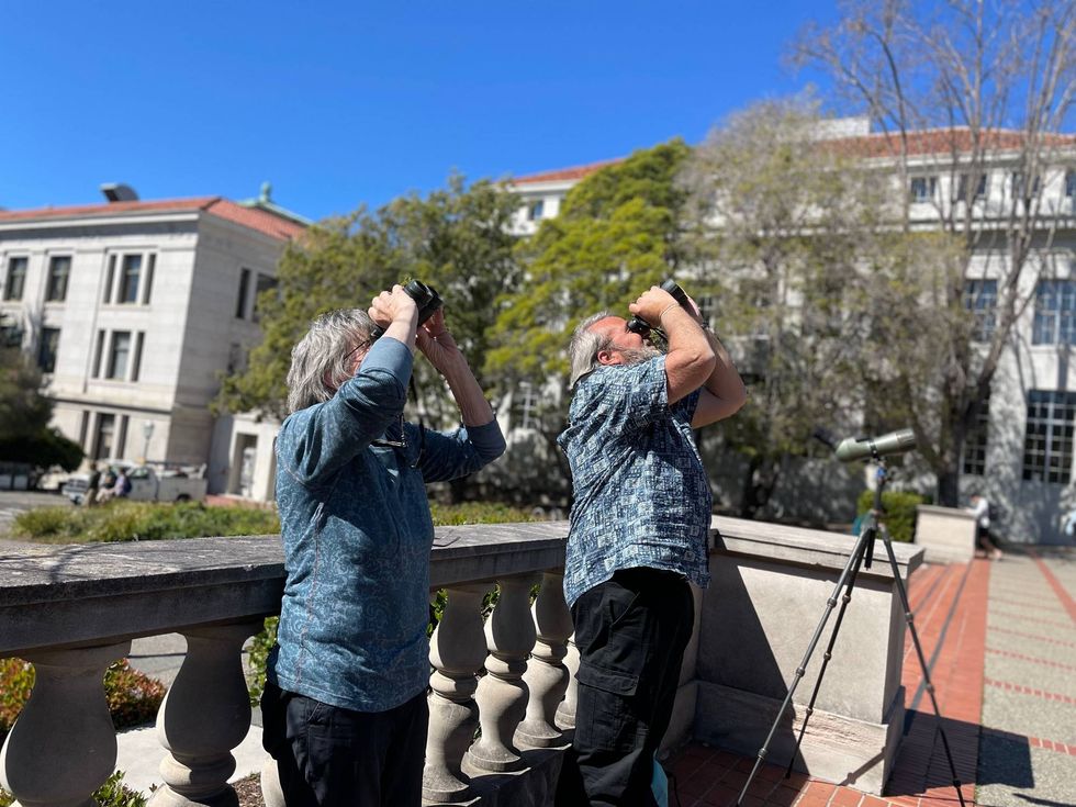 Mary Malec (left) and Allen Fish (right) use binoculars to watch peregrine falcons Annie and Grinnell atop The Campanile at UC Berkeley in mid-March.