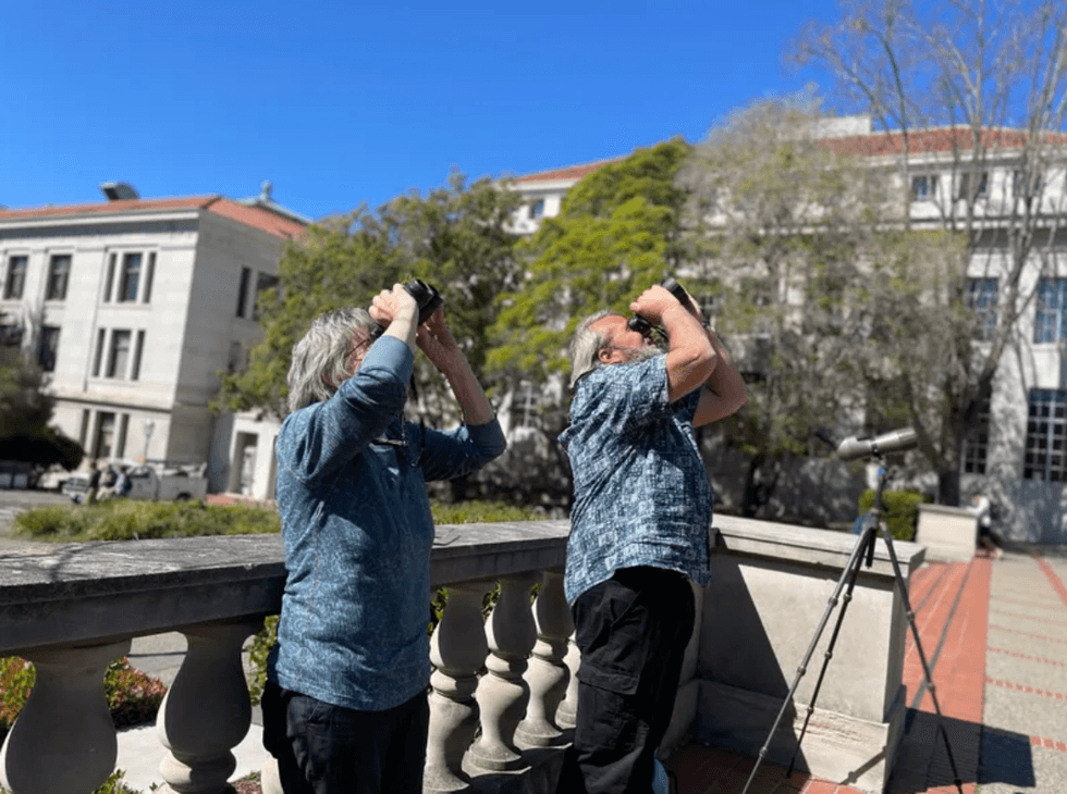 Mary Malec (left) and Allen Fish (right) use binoculars to watch peregrine falcons Annie and Grinnell atop The Campanile at UC Berkeley in mid-March.
