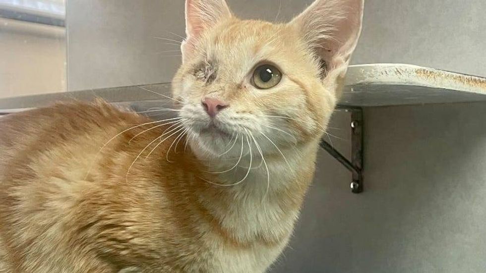 Maryjane @ Austin Humane Society 10/5/22