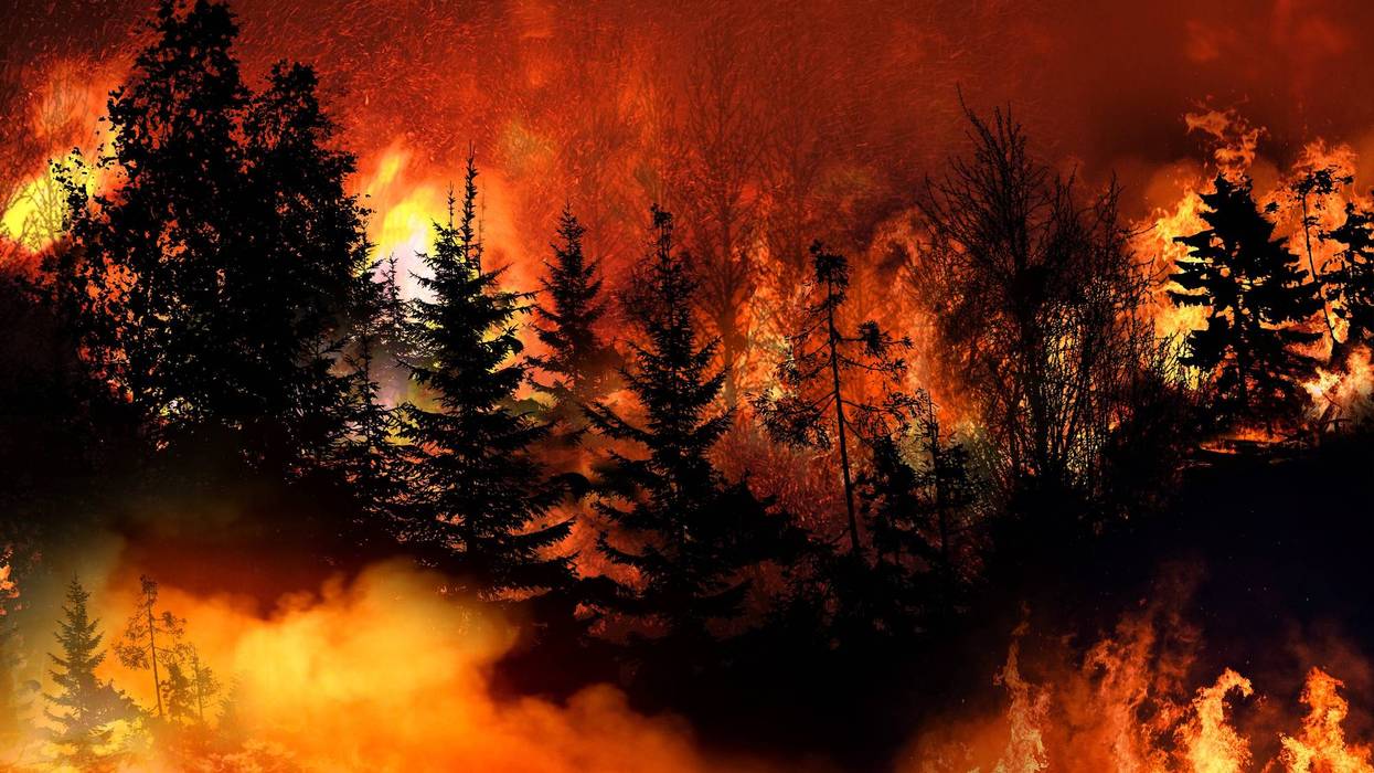 Massive California Wild Fire forcing thousands of people to evacuate their homes, wildfires spreading rapidly, escaping to save their lives, destroyed silhouette, natural calamity