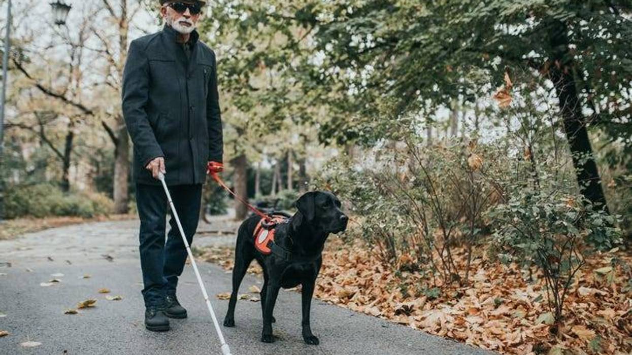Mature blind man with dog