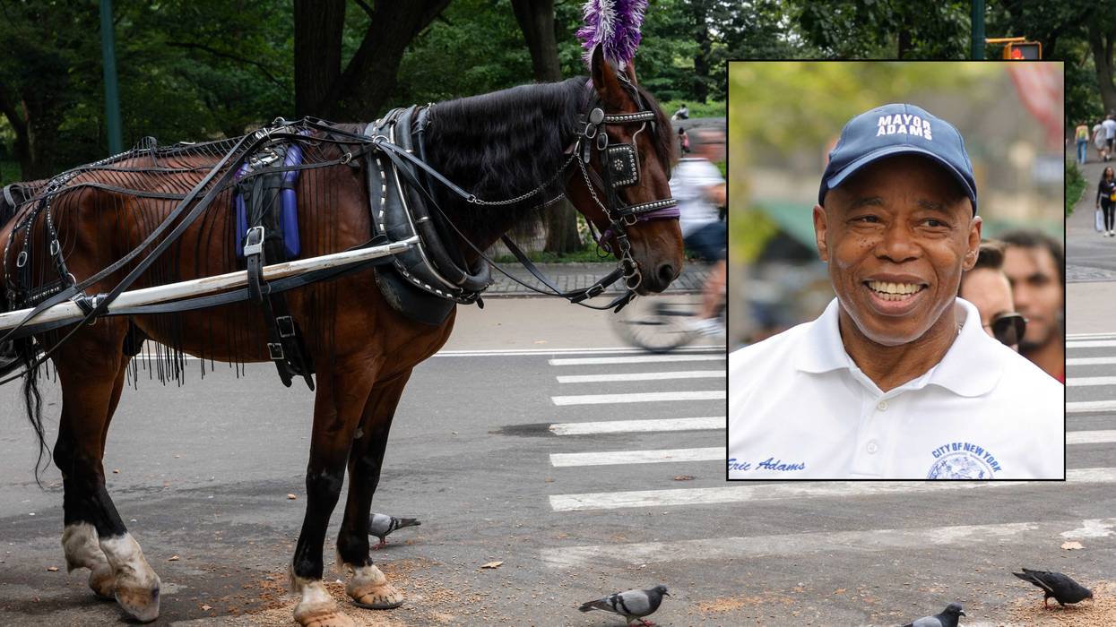 Mayor Eric Adams, in joining supporters of a ban, cited safety concerns in the increasingly crowded green space, including incidents in recent years of horses collapsing and dying on the job or breaking free from their drivers and running loose in the park
