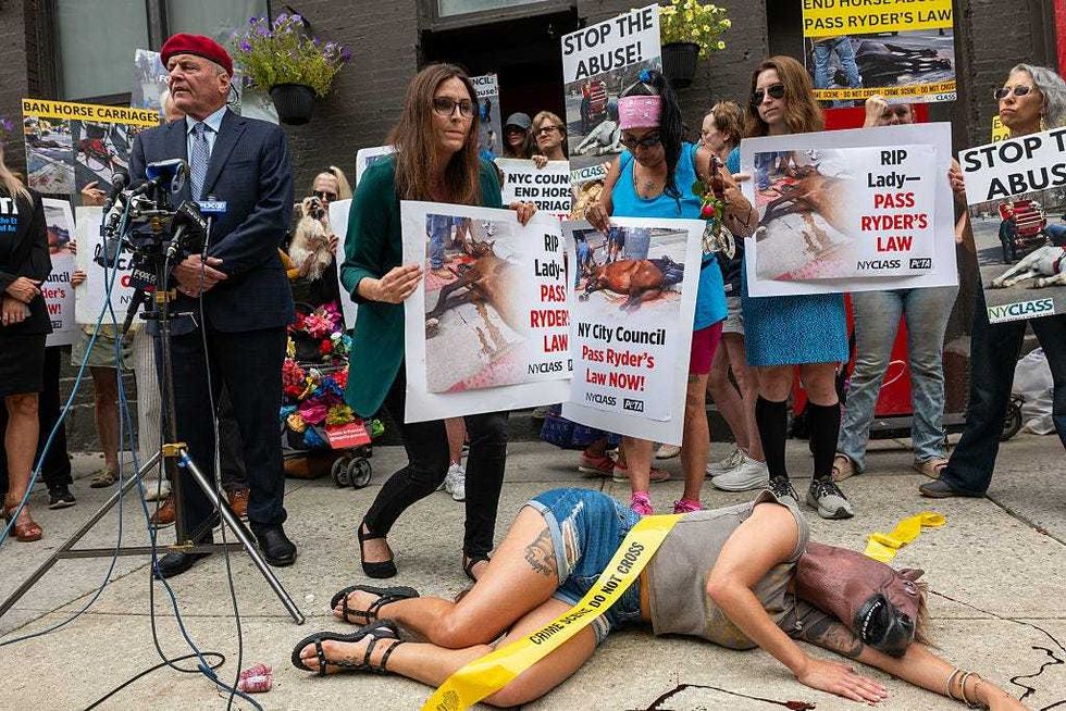 Mayoral candidate Curtis Sliwa joins over a dozen activists and others outside a 19th-century building housing more than 80 carriage horses to condemn the use of horses in Central Park on Aug. 6, 2025 after the death of Lady.