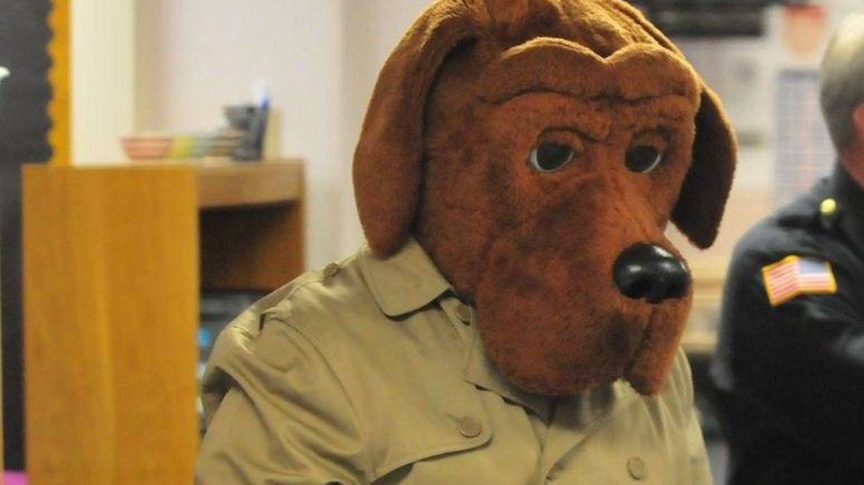 McGruff the Crime Dog, Kindergarten Class, Costume, 2018