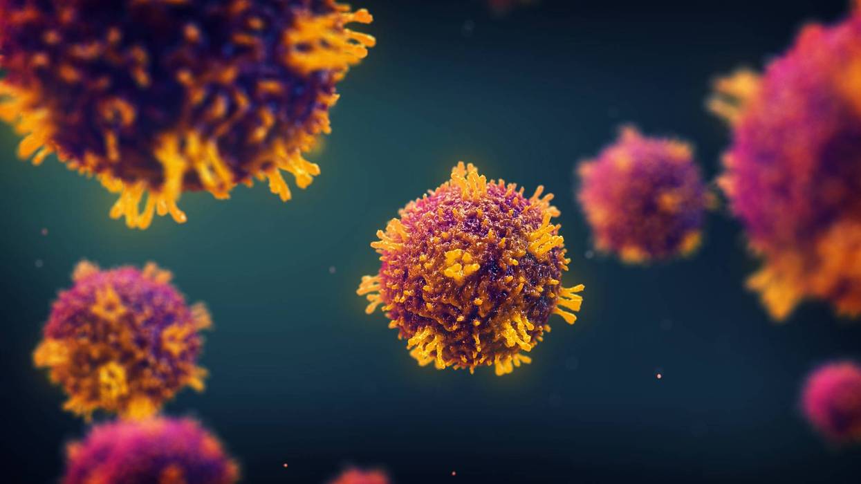 Measles virus rendering