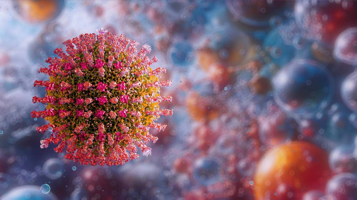 Measles Virus