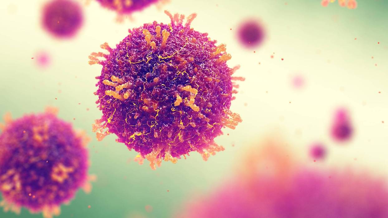 Measles virus.