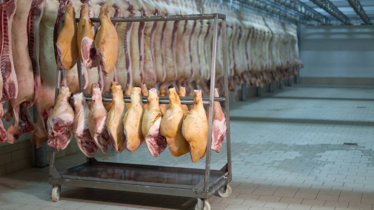 Meat processing plant stock image.
