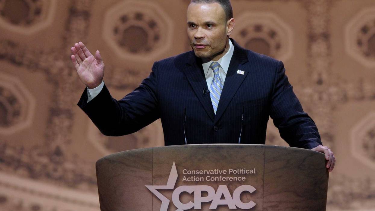 Media Fox Bongino