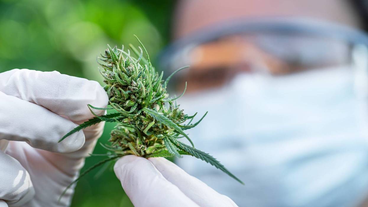 Medical marijuana