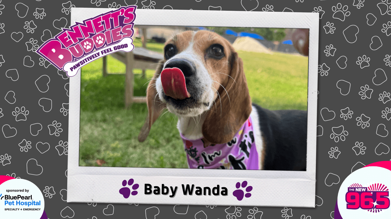Meet Baby Wanda! Bennett's Buddies at the PSPCA