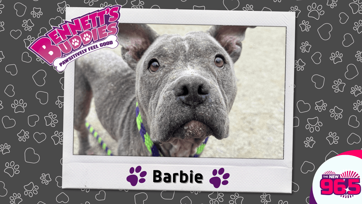 Meet Barbie! Bennett's Buddies at the PSPCA