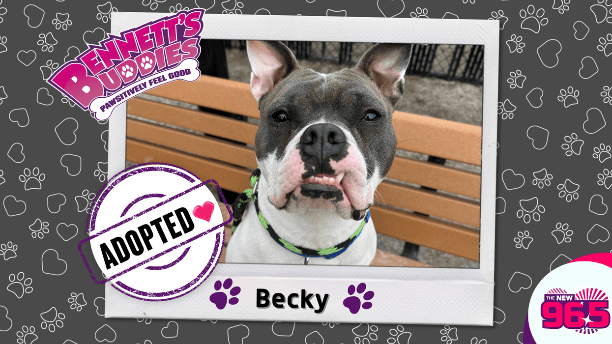 Meet Becky! | Bennett's Buddies at the PSPCA